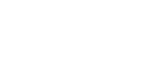 Nissan-grau-1